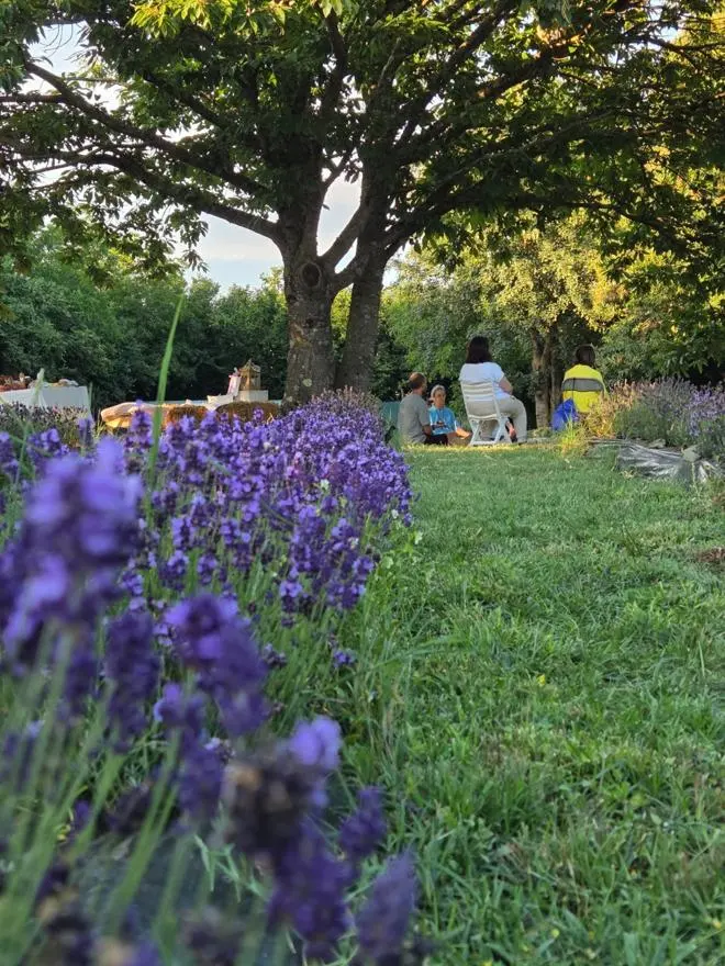 Lavanda in primo piano e partecipanti riuniti sotto un albero